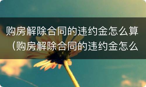 购房解除合同的违约金怎么算（购房解除合同的违约金怎么算的）