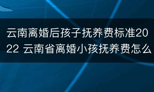 云南离婚后孩子抚养费标准2022 云南省离婚小孩抚养费怎么算