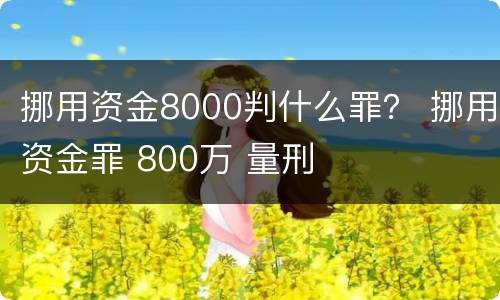 挪用资金8000判什么罪？ 挪用资金罪 800万 量刑
