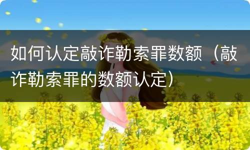 如何认定敲诈勒索罪数额（敲诈勒索罪的数额认定）