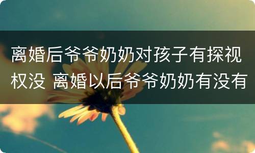 离婚后爷爷奶奶对孩子有探视权没 离婚以后爷爷奶奶有没有探视权