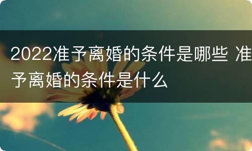 2022准予离婚的条件是哪些 准予离婚的条件是什么