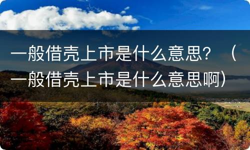 一般借壳上市是什么意思？（一般借壳上市是什么意思啊）