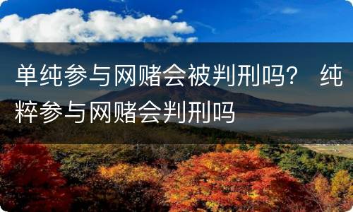 单纯参与网赌会被判刑吗？ 纯粹参与网赌会判刑吗
