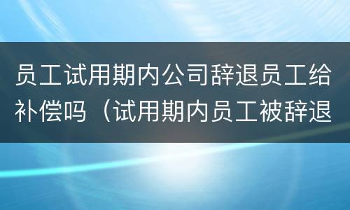 员工试用期内公司辞退员工给补偿吗（试用期内员工被辞退有没有补偿）
