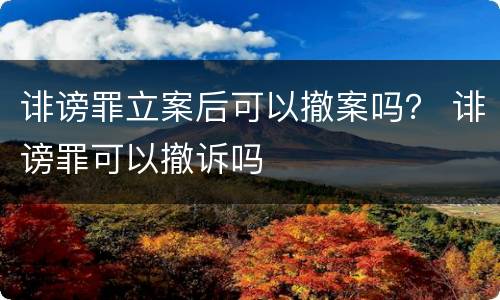 诽谤罪立案后可以撤案吗？ 诽谤罪可以撤诉吗