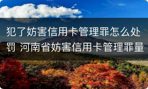 犯了妨害信用卡管理罪怎么处罚 河南省妨害信用卡管理罪量刑标准