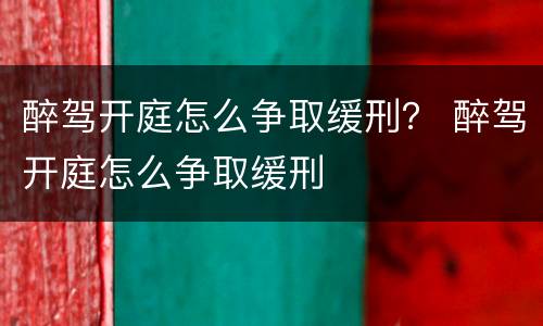 醉驾开庭怎么争取缓刑？ 醉驾开庭怎么争取缓刑