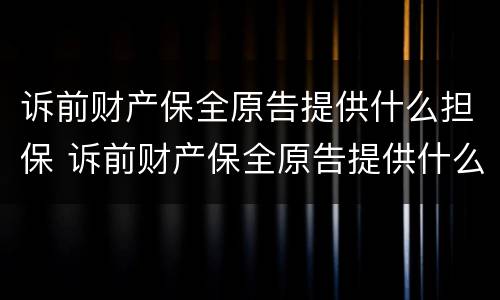 诉前财产保全原告提供什么担保 诉前财产保全原告提供什么担保资料