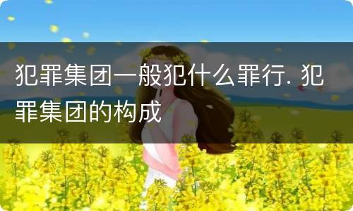 犯罪集团一般犯什么罪行. 犯罪集团的构成