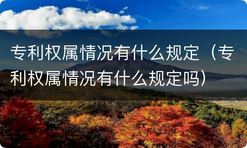专利权属情况有什么规定（专利权属情况有什么规定吗）