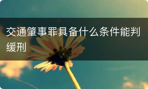 交通肇事罪具备什么条件能判缓刑