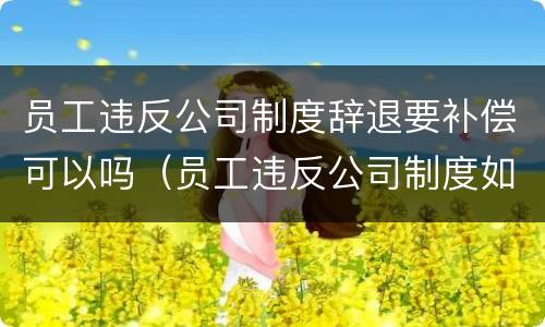 员工违反公司制度辞退要补偿可以吗（员工违反公司制度如何劝退）