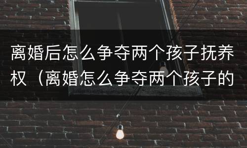 离婚后怎么争夺两个孩子抚养权（离婚怎么争夺两个孩子的抚养权）