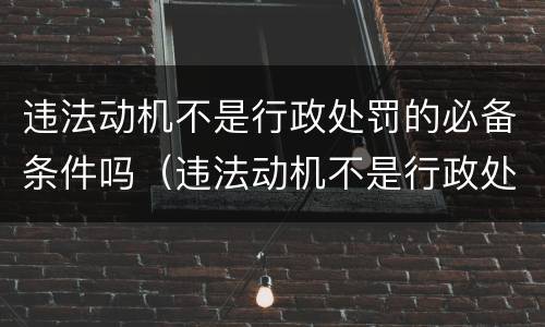违法动机不是行政处罚的必备条件吗（违法动机不是行政处罚的必备条件吗）