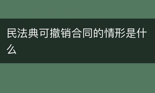 民法典可撤销合同的情形是什么