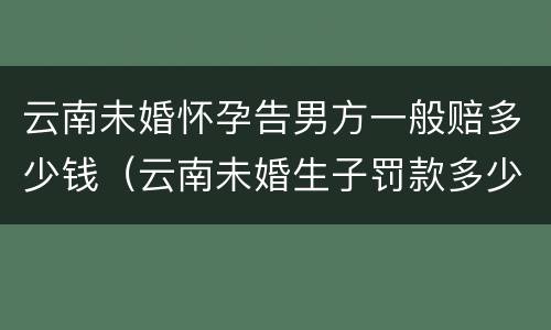 云南未婚怀孕告男方一般赔多少钱（云南未婚生子罚款多少）