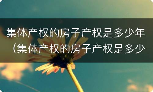 集体产权的房子产权是多少年（集体产权的房子产权是多少年的）