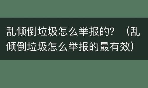 乱倾倒垃圾怎么举报的？（乱倾倒垃圾怎么举报的最有效）