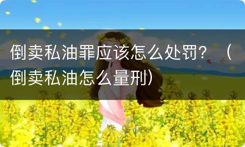 倒卖私油罪应该怎么处罚？（倒卖私油怎么量刑）