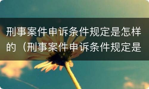 刑事案件申诉条件规定是怎样的（刑事案件申诉条件规定是怎样的呢）