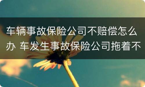 车辆事故保险公司不赔偿怎么办 车发生事故保险公司拖着不赔