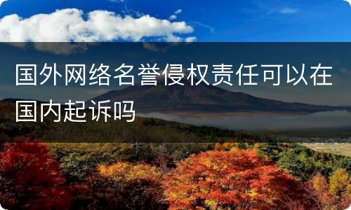 国外网络名誉侵权责任可以在国内起诉吗