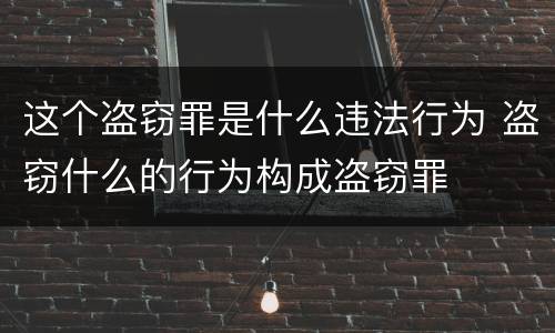 这个盗窃罪是什么违法行为 盗窃什么的行为构成盗窃罪