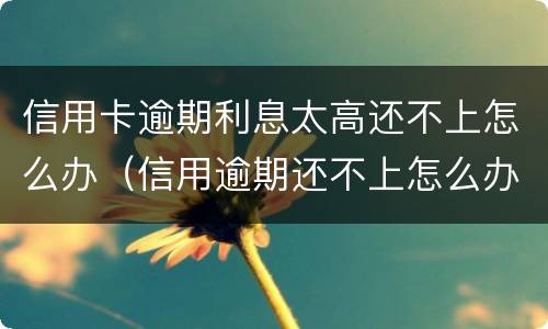 信用卡逾期利息太高还不上怎么办（信用逾期还不上怎么办好呢）