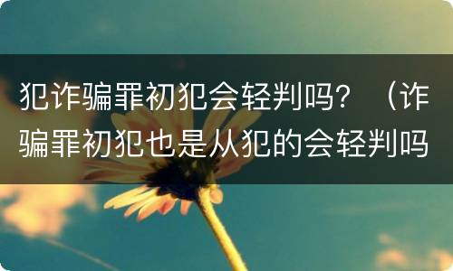 犯诈骗罪初犯会轻判吗？（诈骗罪初犯也是从犯的会轻判吗）