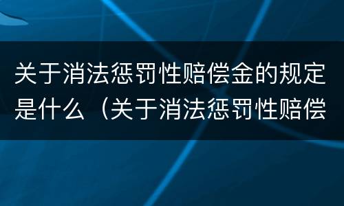 关于消法惩罚性赔偿金的规定是什么（关于消法惩罚性赔偿金的规定是什么呢）