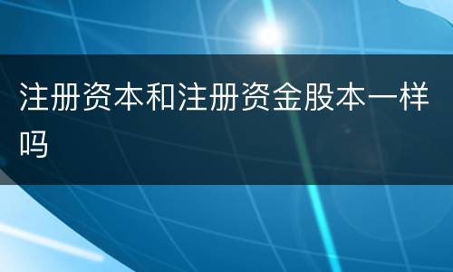 注册资本和注册资金股本一样吗
