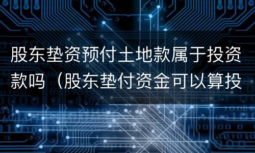 股东垫资预付土地款属于投资款吗（股东垫付资金可以算投资了吗）