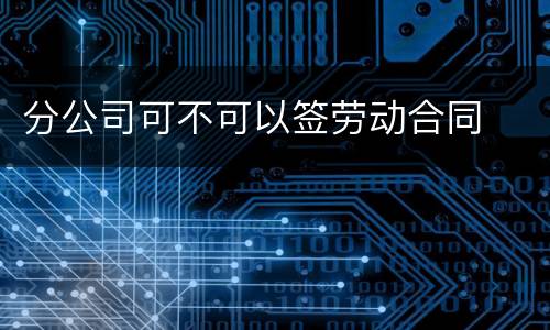 分公司可不可以签劳动合同