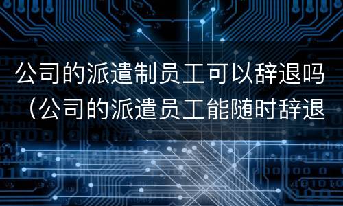 公司的派遣制员工可以辞退吗（公司的派遣员工能随时辞退吗）