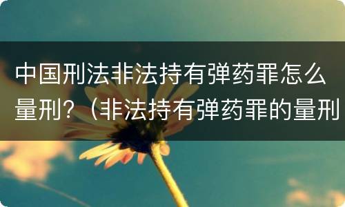 中国刑法非法持有弹药罪怎么量刑?（非法持有弹药罪的量刑）