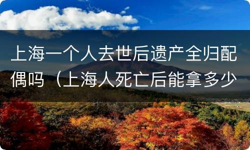 上海一个人去世后遗产全归配偶吗（上海人死亡后能拿多少钱）