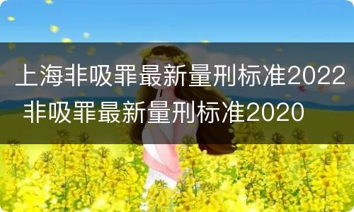上海非吸罪最新量刑标准2022 非吸罪最新量刑标准2020