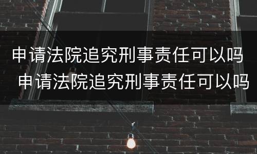 申请法院追究刑事责任可以吗 申请法院追究刑事责任可以吗