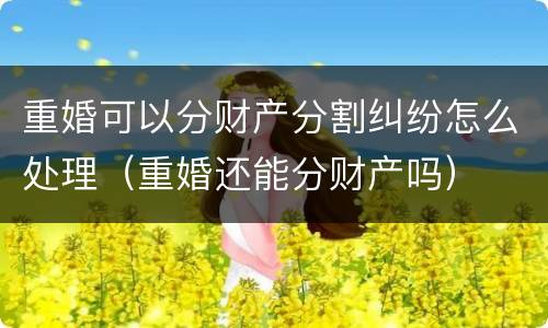 重婚可以分财产分割纠纷怎么处理（重婚还能分财产吗）