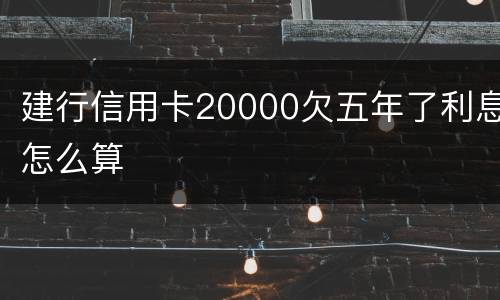 建行信用卡20000欠五年了利息怎么算
