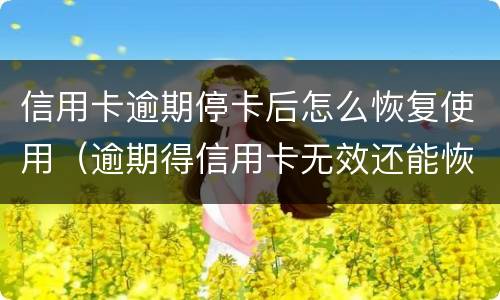 信用卡逾期停卡后怎么恢复使用（逾期得信用卡无效还能恢复吗）