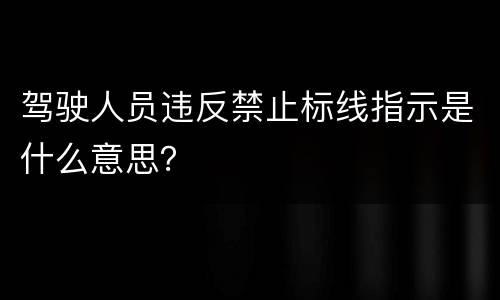 驾驶人员违反禁止标线指示是什么意思？