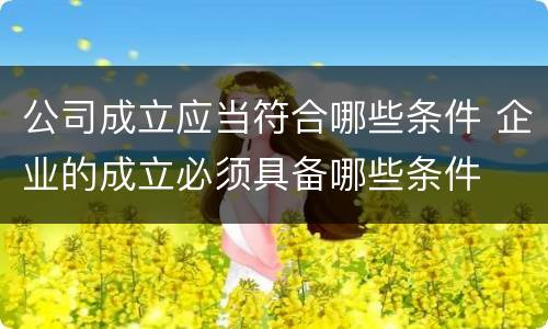 公司成立应当符合哪些条件 企业的成立必须具备哪些条件