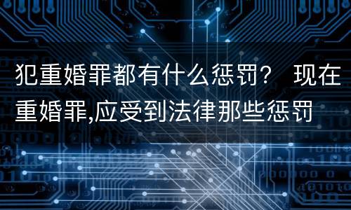 犯重婚罪都有什么惩罚？ 现在重婚罪,应受到法律那些惩罚