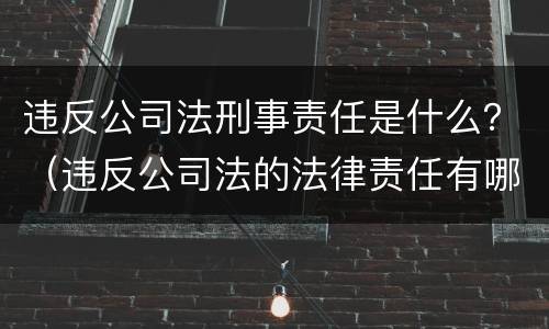 违反公司法刑事责任是什么？（违反公司法的法律责任有哪些）