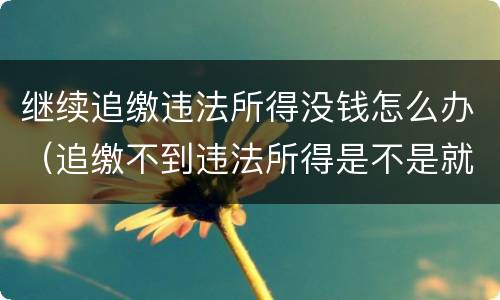 继续追缴违法所得没钱怎么办（追缴不到违法所得是不是就不了了之了）
