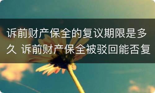 诉前财产保全的复议期限是多久 诉前财产保全被驳回能否复议