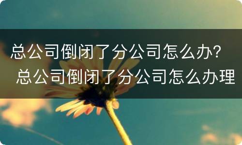 总公司倒闭了分公司怎么办？ 总公司倒闭了分公司怎么办理
