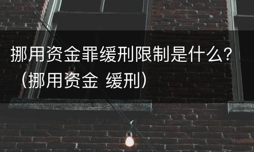 挪用资金罪缓刑限制是什么？（挪用资金 缓刑）
